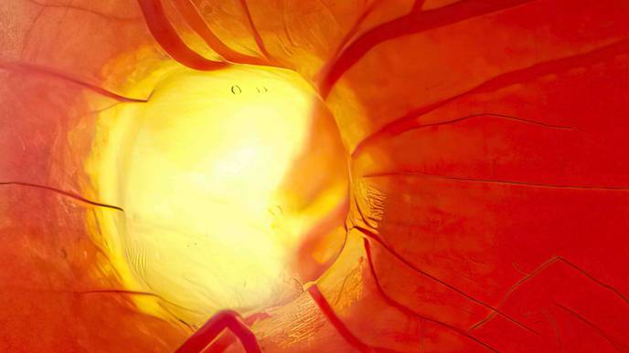 ReachMD Healthcare Image