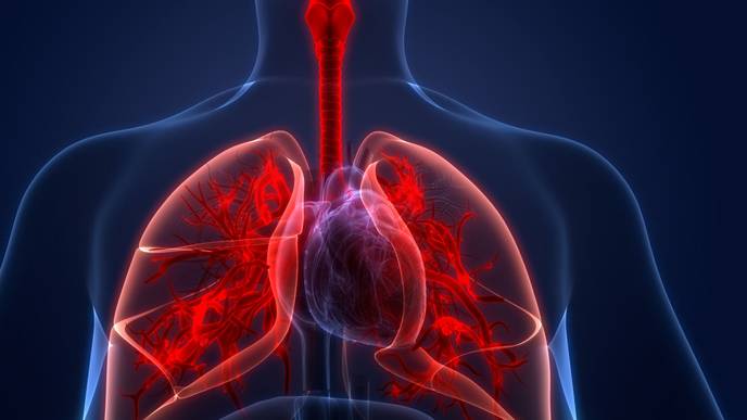 ReachMD Healthcare Image