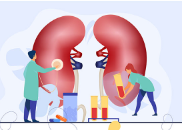 CKD Early Identification and Intervention Toolkit