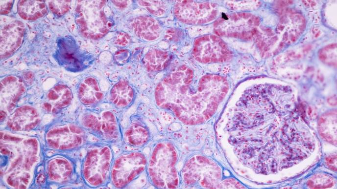 ReachMD Healthcare Image