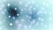 Hippocampal Neurons and Their Role in Dietary Behaviors and Obesity