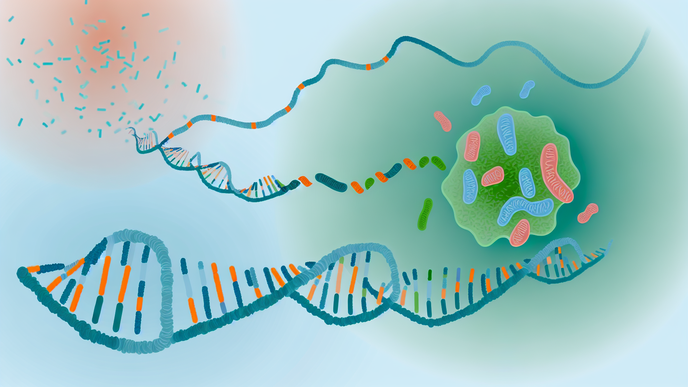 New Insights into Osteosarcoma Metastasis Through Epigenetic Profiling