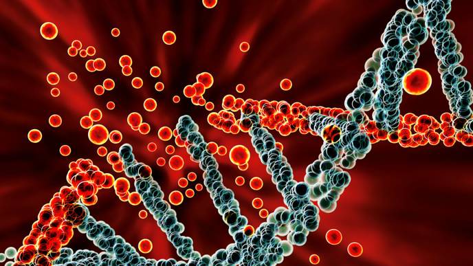 ReachMD Healthcare Image