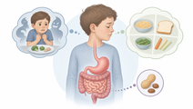 Simplified pediatric stomach with food allergy cues for fear related restrictive eating and picky eating