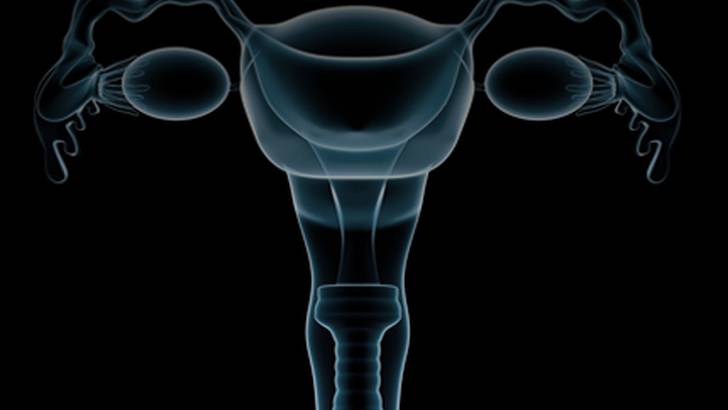 ReachMD Healthcare Image