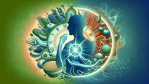 ketogenic diet added to chemotherapy in metastatic pancreatic cancer