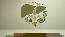 The Role of Cellular Self Defense Mechanisms in Liver Cancer Development