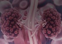 Optimizing the Care and Quality of Life for Patients with ADPKD – Part 1: Detection and Diagnosis