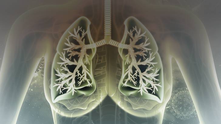 ReachMD Healthcare Image