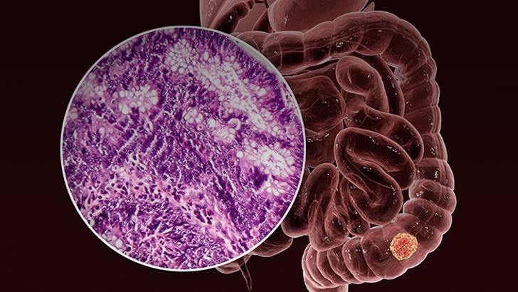 ReachMD Healthcare Image