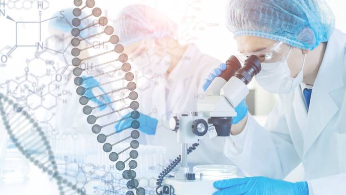 ReachMD Healthcare Image