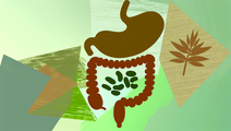 The Role of Fiber in Controlling Harmful Gut Microbes