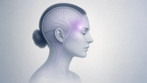 Simplified anatomical head silhouette highlighting the temple region affected by acute migraine pain