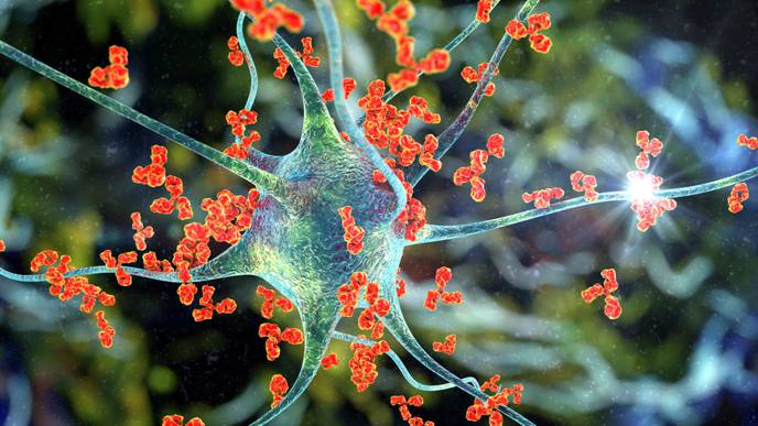 ReachMD Healthcare Image