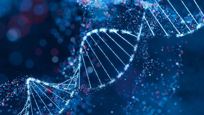 ReachMD Healthcare Image