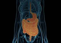 IBS at a Glance: An Overview of the 2020 IBS Guidelines