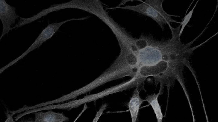 ReachMD Healthcare Image