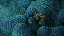 ReachMD Healthcare Image