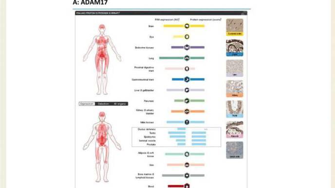 ReachMD Healthcare Image