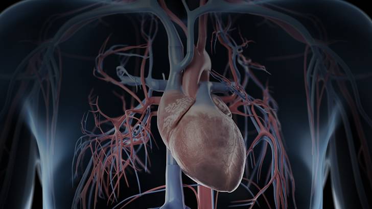 ReachMD Healthcare Image