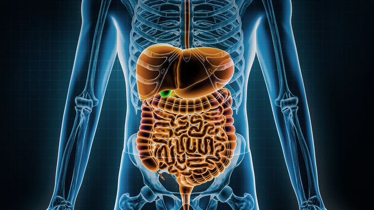 ReachMD Healthcare Image
