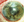 Figure 4. After surgery, the IOL is well positioned, and the
pupil is smaller and round.