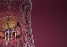 Current Guidance on Managing Extrahepatic Complications of Cirrhosis