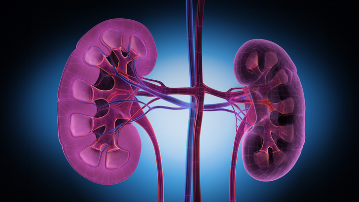 ReachMD Healthcare Image