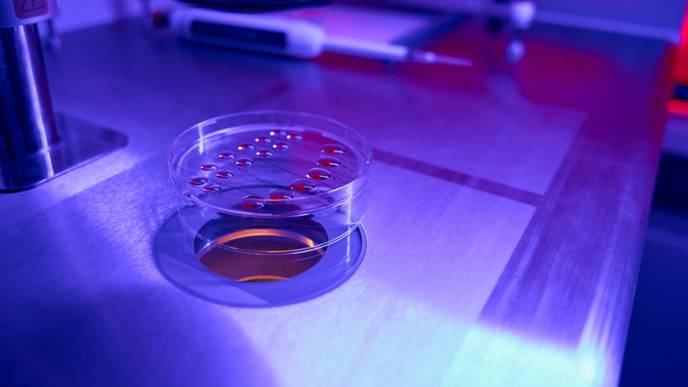 ReachMD Healthcare Image