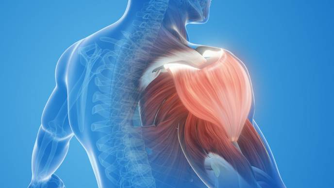 ReachMD Healthcare Image