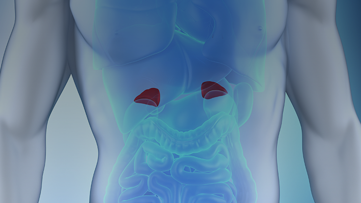 ReachMD Healthcare Image