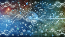 cholesterol transport prenatal nutrition cognitive health