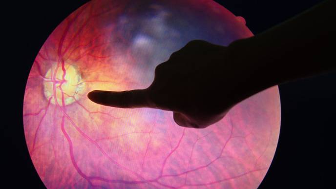 ReachMD Healthcare Image