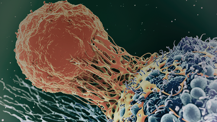 ReachMD Healthcare Image