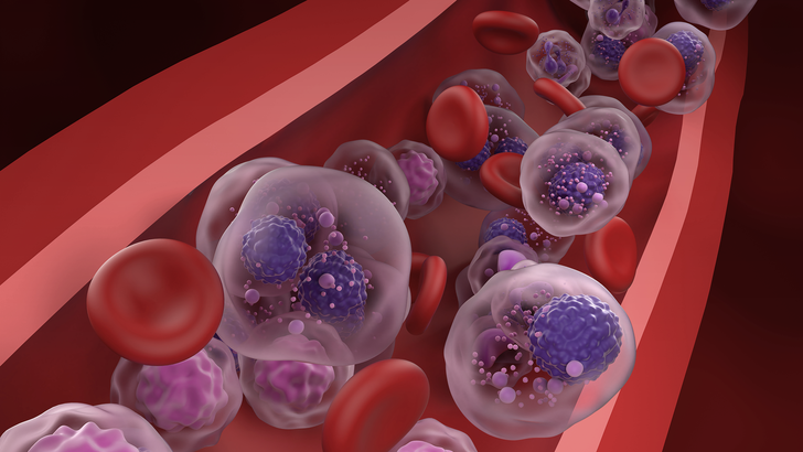 ReachMD Healthcare Image