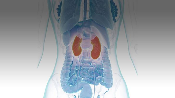 ReachMD Healthcare Image