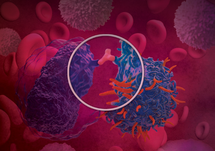 The Evolving Role of Bispecific Antibody Therapy in Relapsed or Refractory Follicular Lymphoma