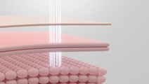 aesthetic medicine skin layers