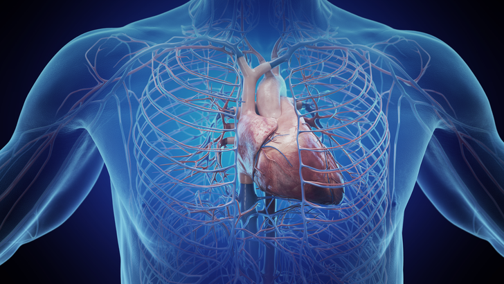 ReachMD Healthcare Image