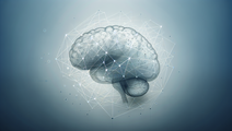 Understanding the Heightened Dementia Risk Among Stroke Survivors