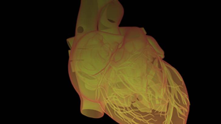 ReachMD Healthcare Image