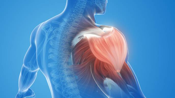 ReachMD Healthcare Image