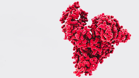 MA1225 Karimi hero image