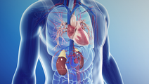 ReachMD Healthcare Image
