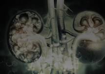 Optimizing the Care and Quality of Life for Patients with ADPKD – Part 2: Progression and Prognostication