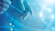 Transcriptomic profiling