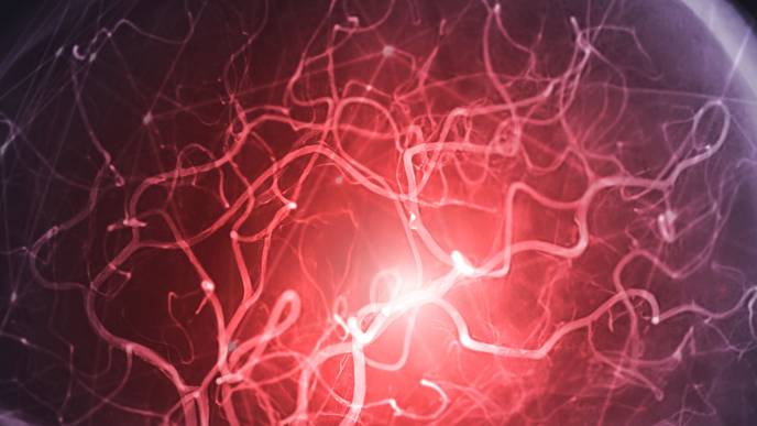 ReachMD Healthcare Image