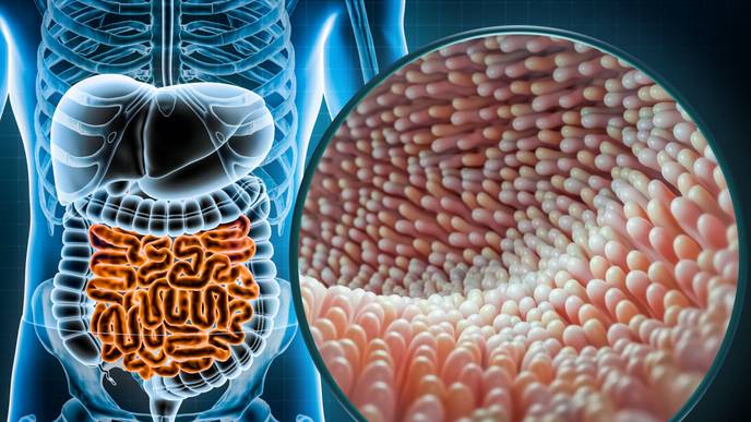 ReachMD Healthcare Image