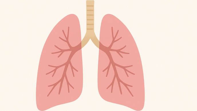 High Prevalence of Hospital Acquired Pneumonia Observed in Paraguayan ICU Study