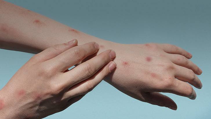 ReachMD Healthcare Image